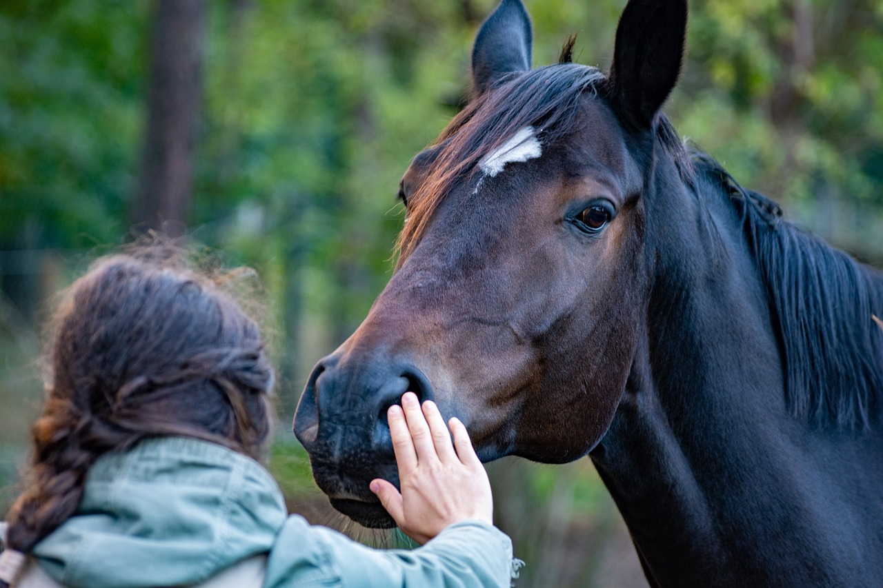 How to Conduct Research on Human-Animal Interactions